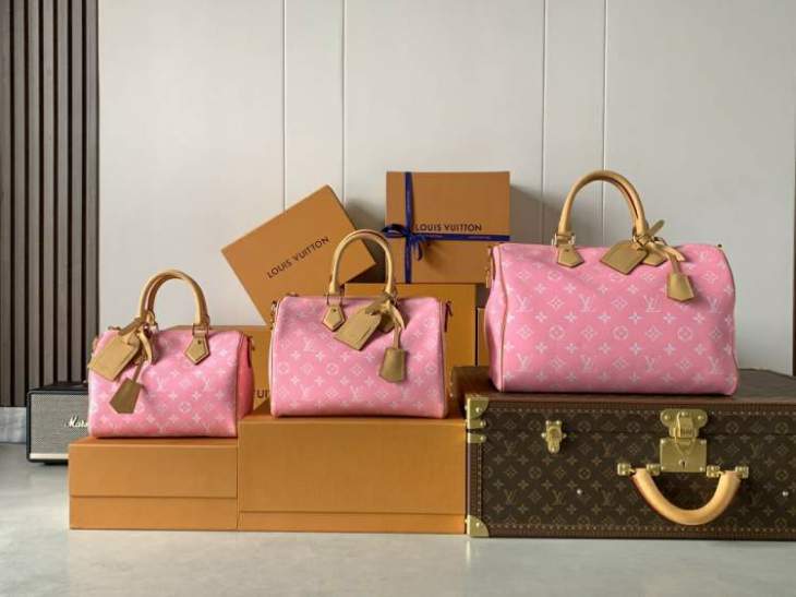 Picture of Louis Vuitton Handbags _SKUfw225969434fw